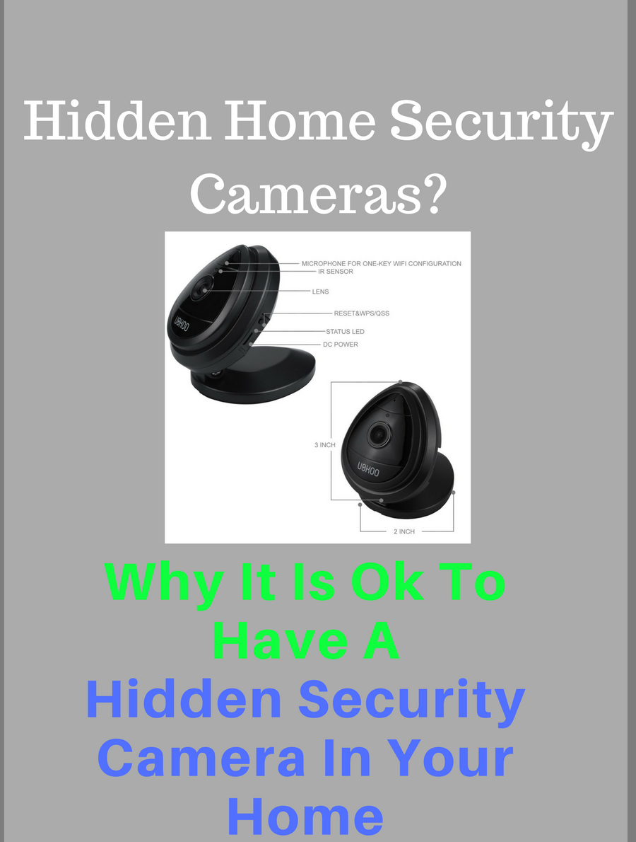Who Should Have Hidden Home Security Cameras